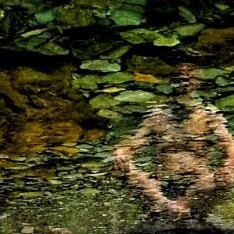 Y después de meditar, ¿qué?